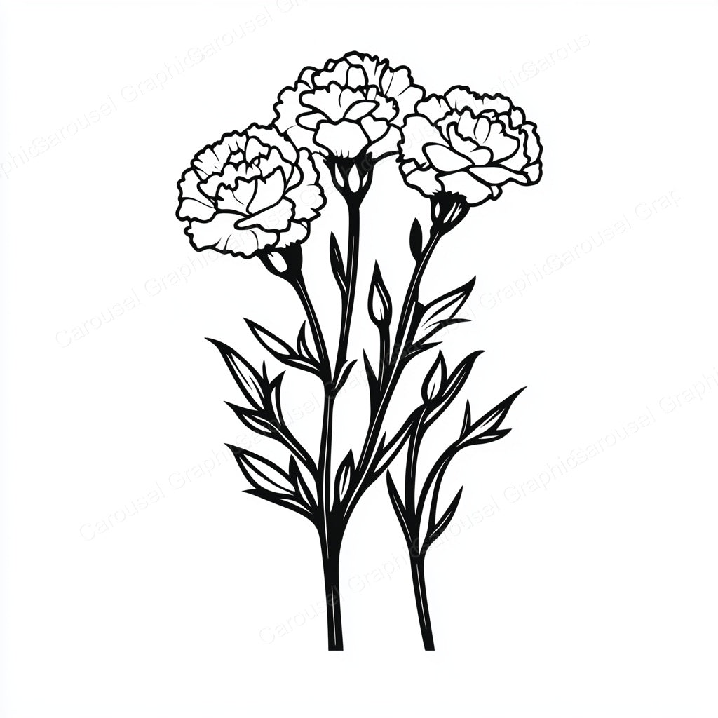 Carnation Vector Graphic preview