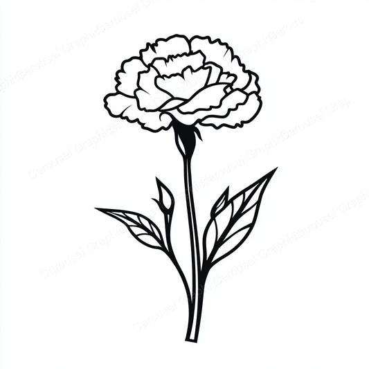 Carnation Vector Graphic preview