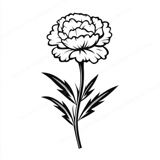 Carnation Vector Graphic preview