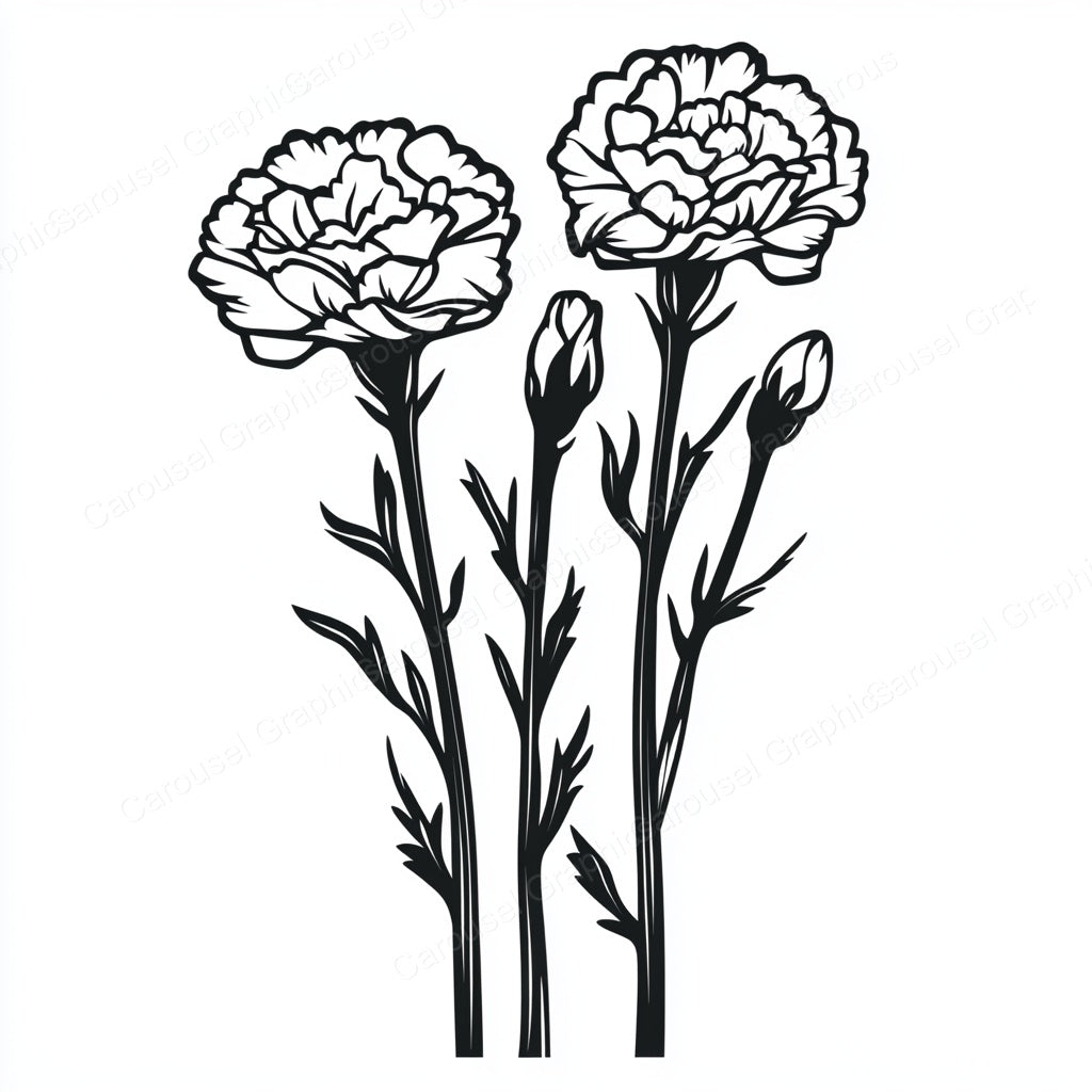 Carnation Vector Graphic preview