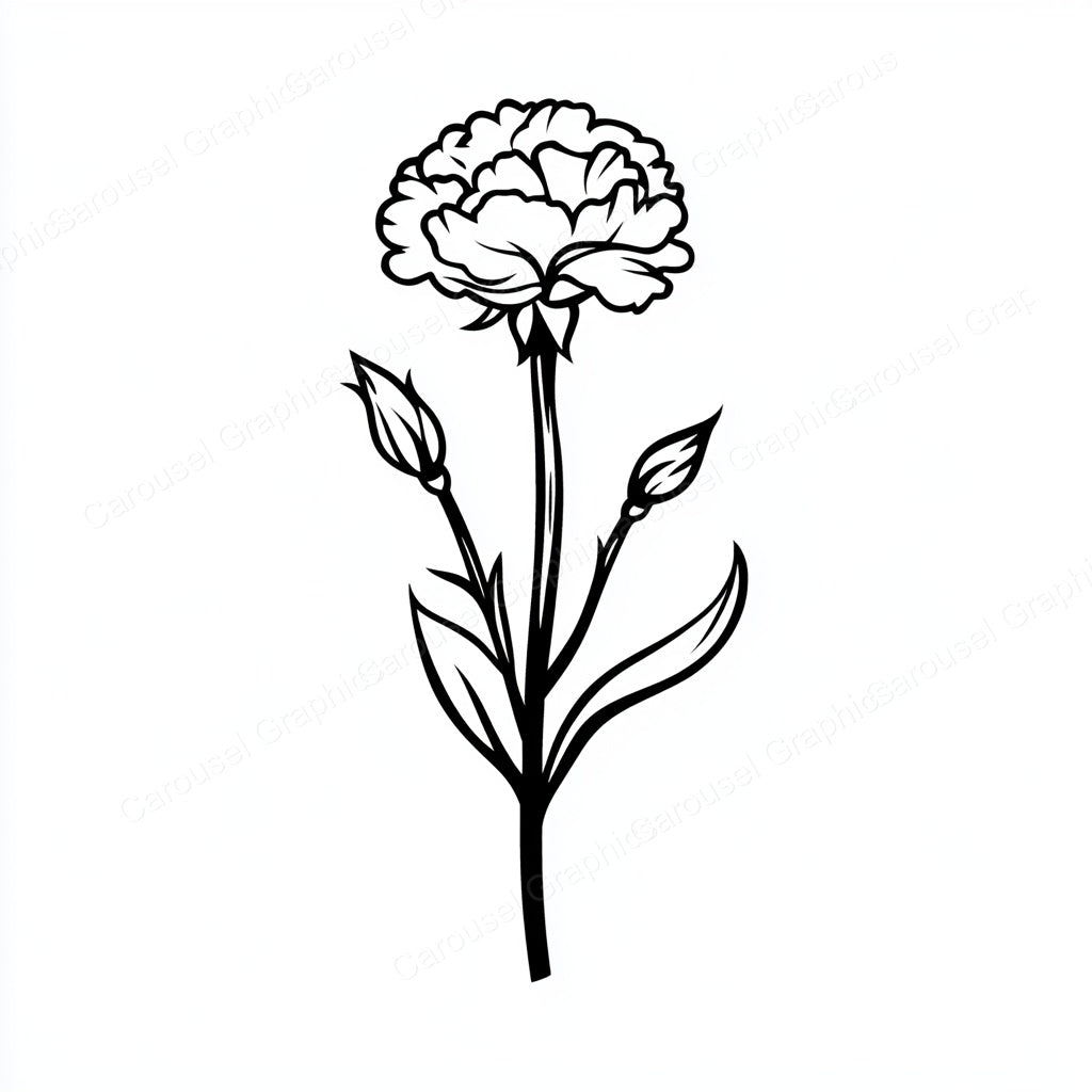 Carnation Vector Graphic preview