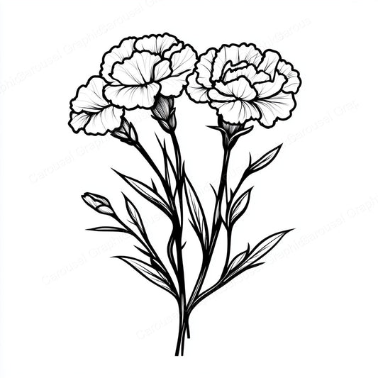 Carnation Vector Graphic preview