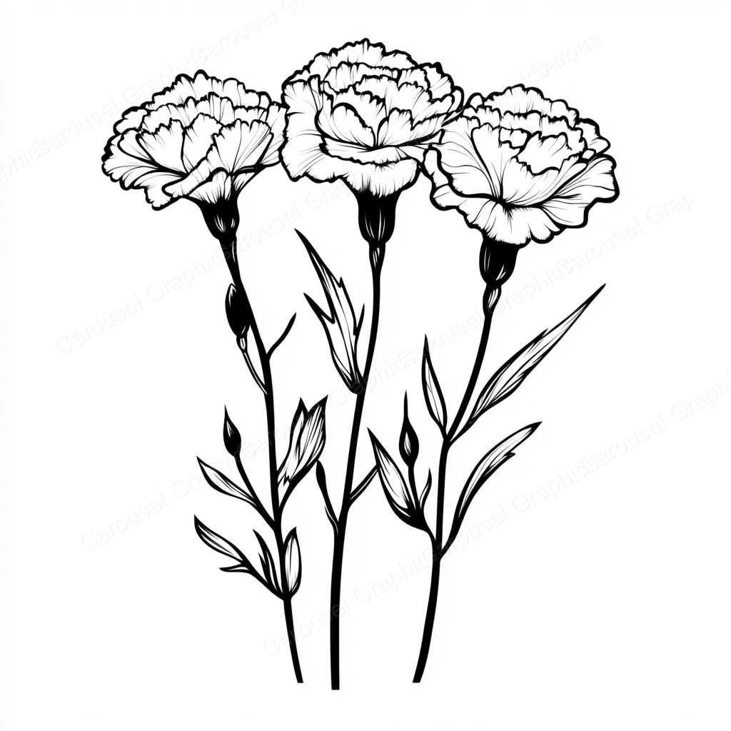 Carnation Vector Graphic preview