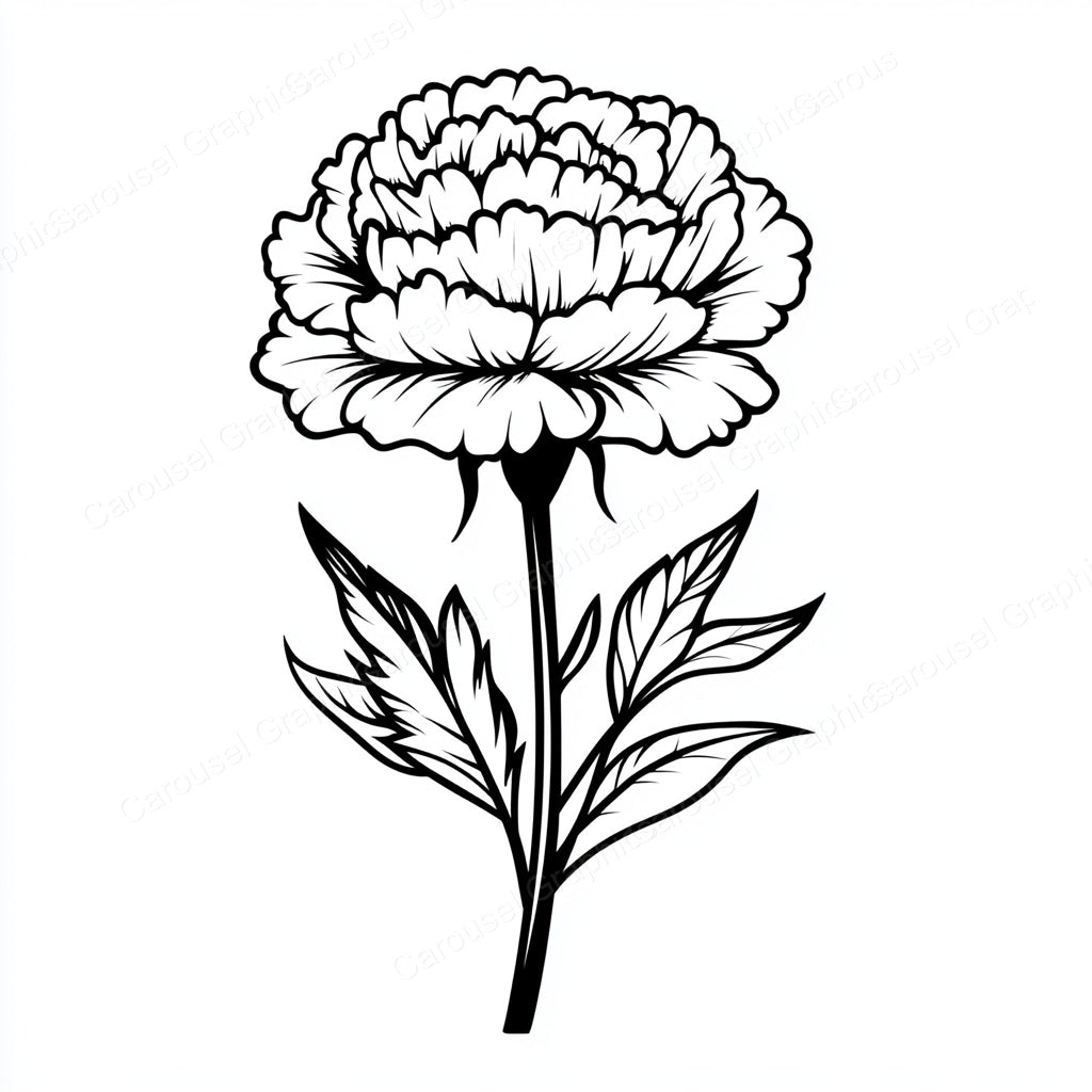 Carnation Vector Graphic preview