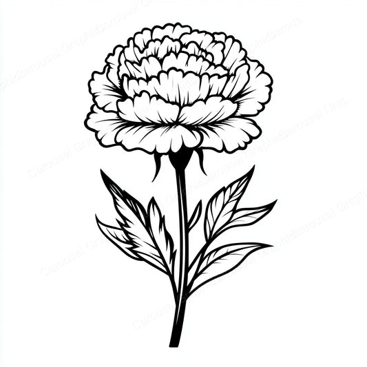 Carnation Vector Graphic preview