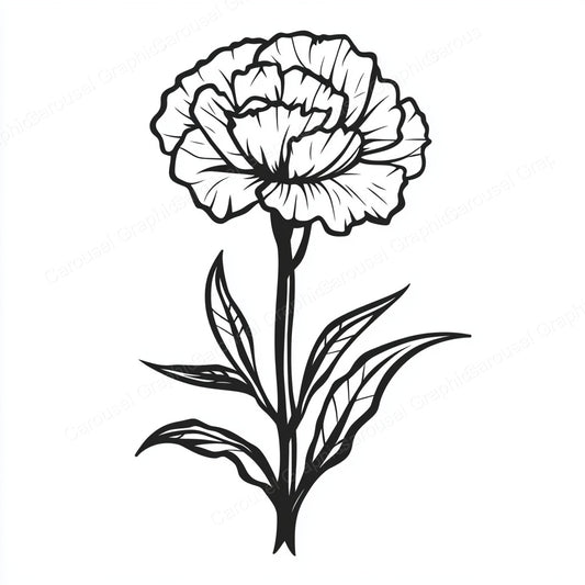 Carnation Vector Graphic preview
