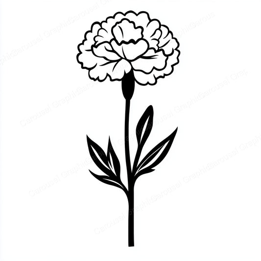 Carnation Vector Graphic preview
