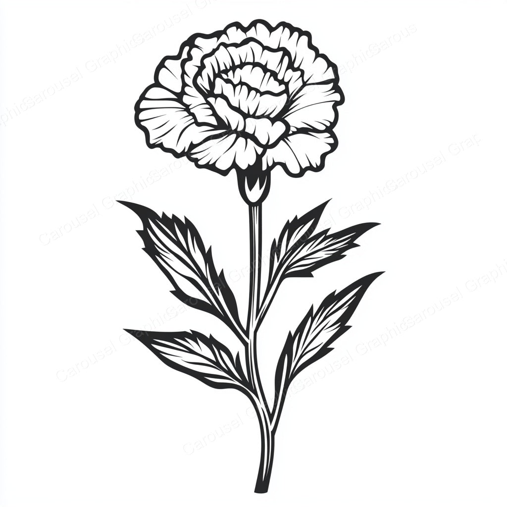 Carnation Vector Graphic preview