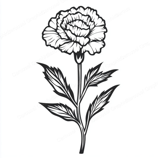 Carnation Vector Graphic preview