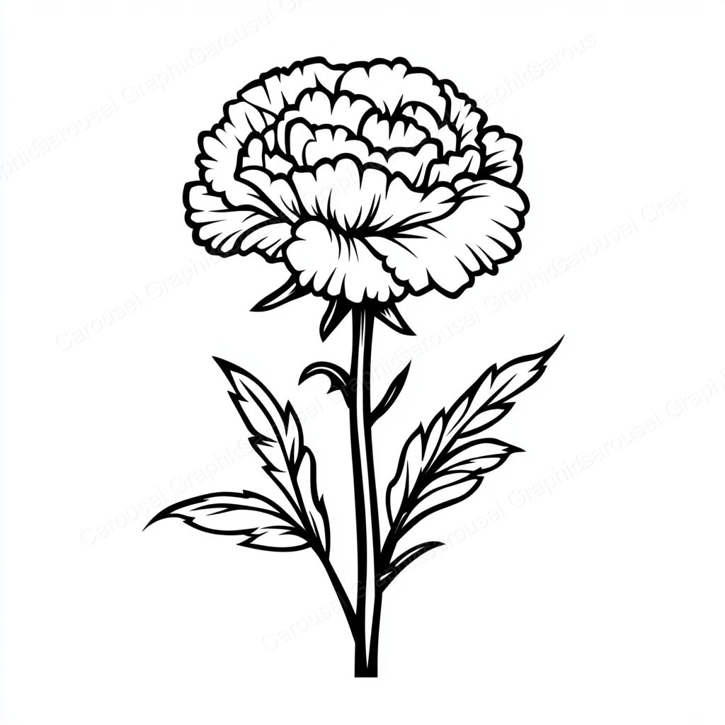 Carnation Vector Graphic preview