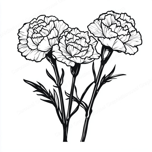 Carnation Vector Graphic preview