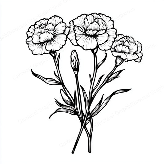 Carnation Vector Graphic preview