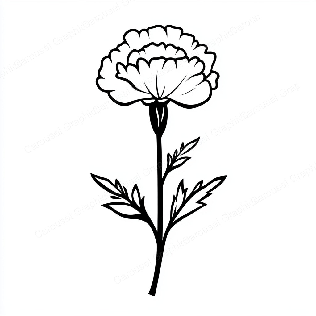 Carnation Vector Graphic preview