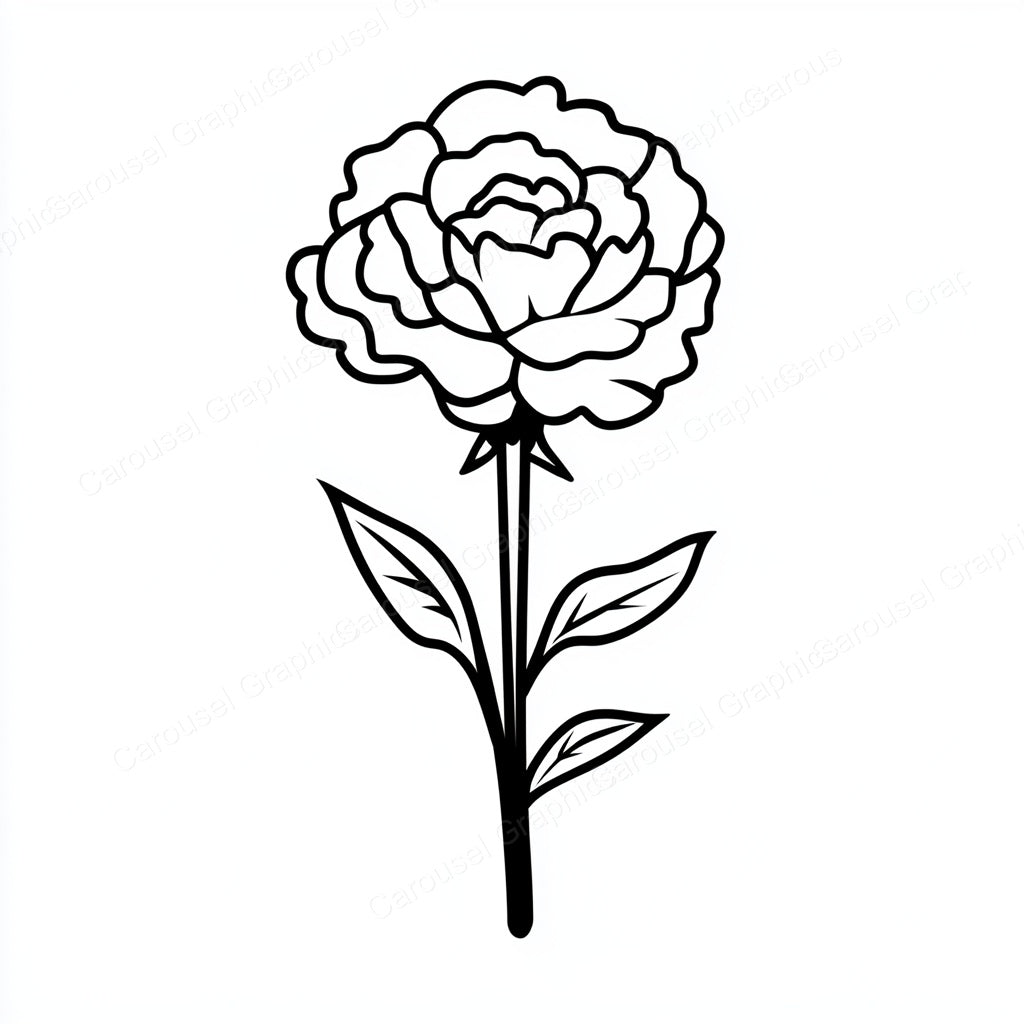 Carnation Vector Graphic preview