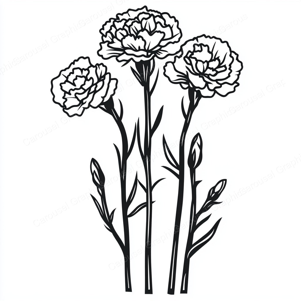 Carnation Vector Graphic preview