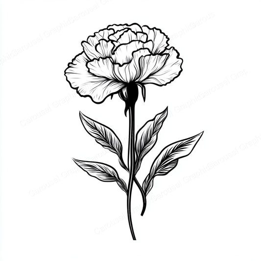 Carnation Vector Graphic preview