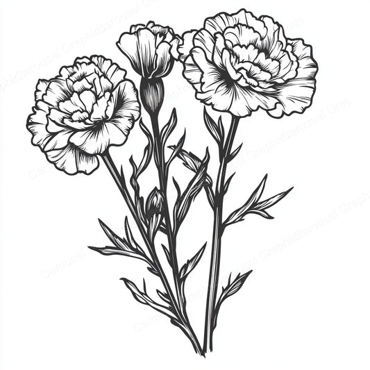 Carnation Vector Graphic preview