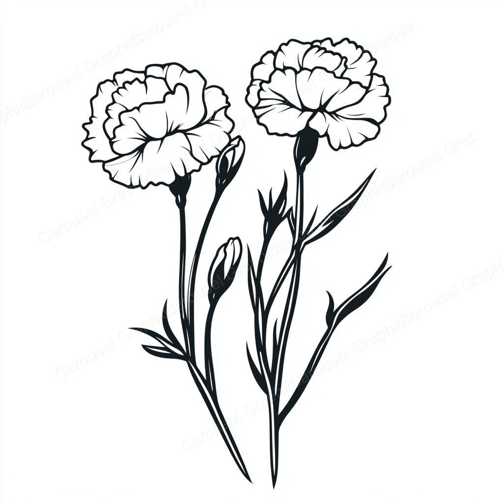 Carnation Vector Graphic preview