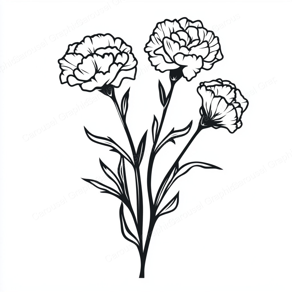 Carnation Vector Graphic preview