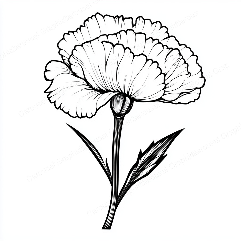 Carnation Vector Graphic preview