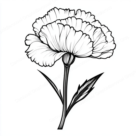 Carnation Vector Graphic preview