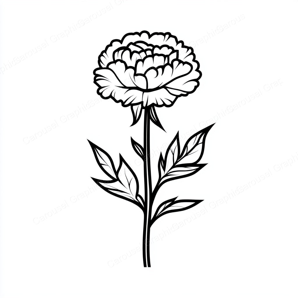 Carnation Vector Graphic preview