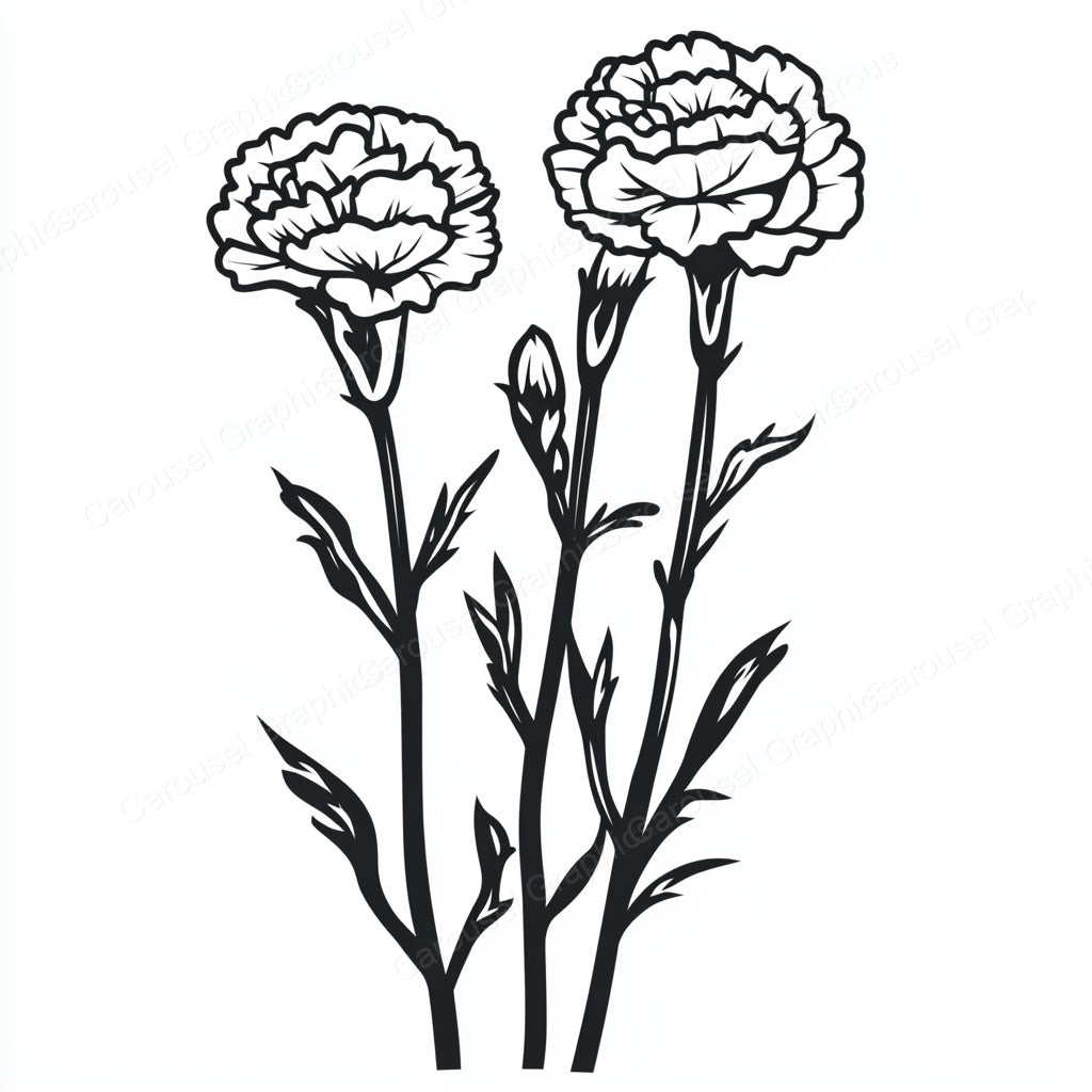 Carnation Vector Graphic preview