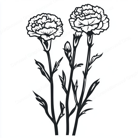 Carnation Vector Graphic preview