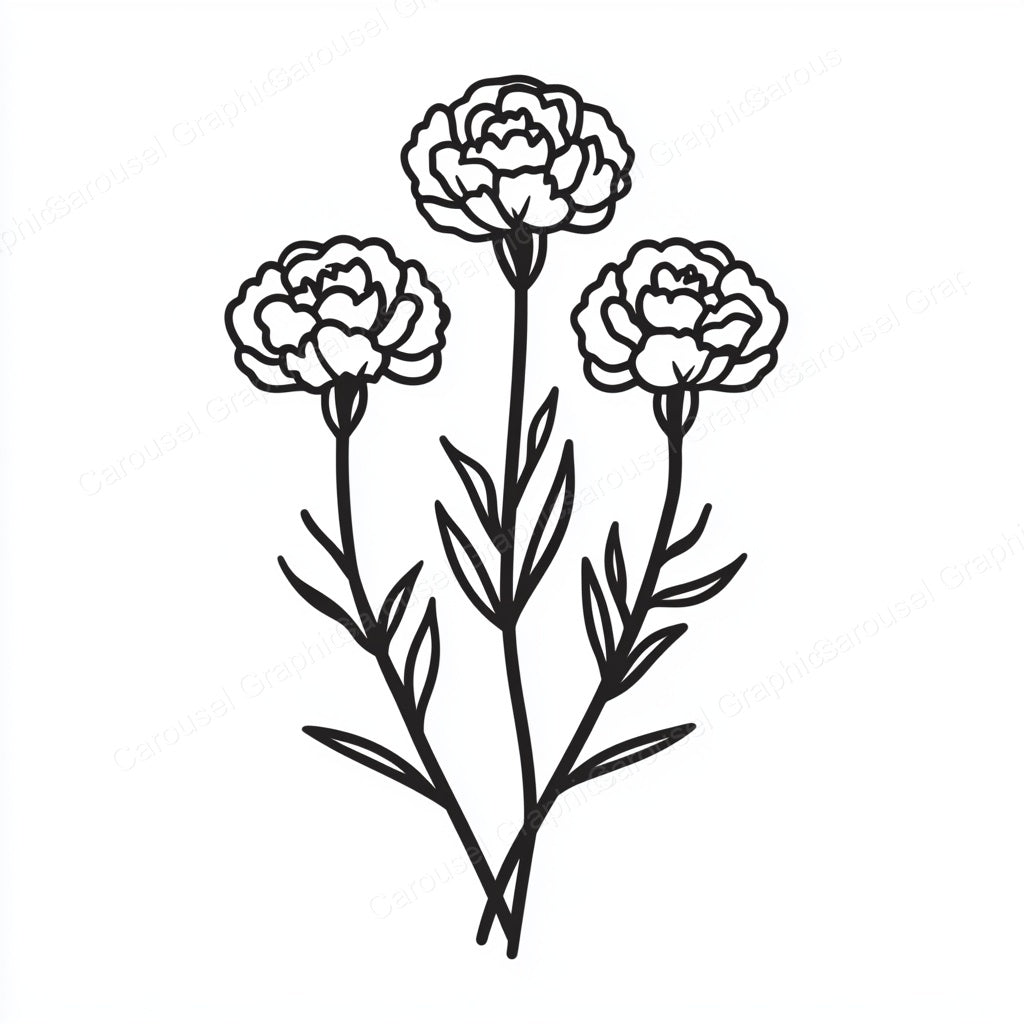 Carnation Vector Graphic preview