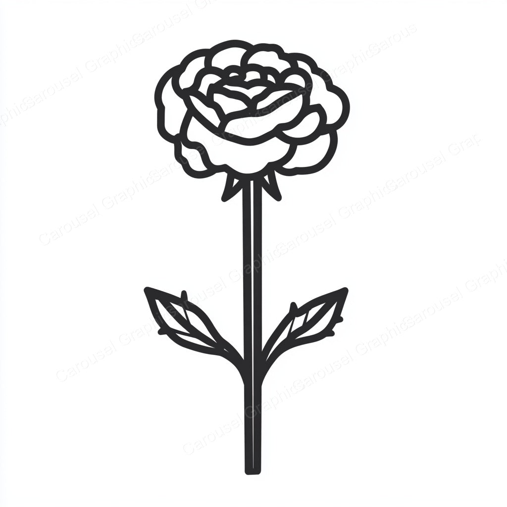 Carnation Vector Graphic preview