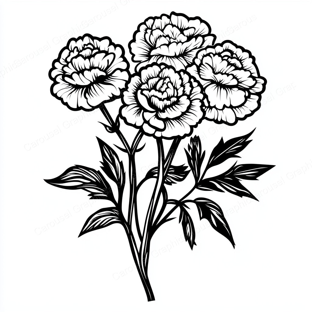 Carnation Vector Graphic preview