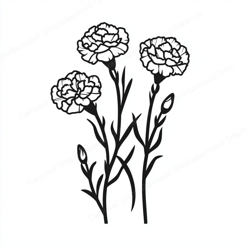Carnation Vector Graphic preview