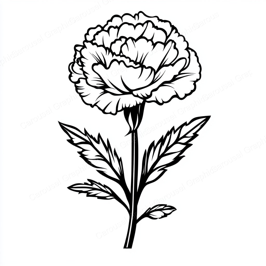 Carnation Vector Graphic preview