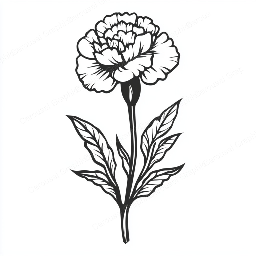 Carnation Vector Graphic preview