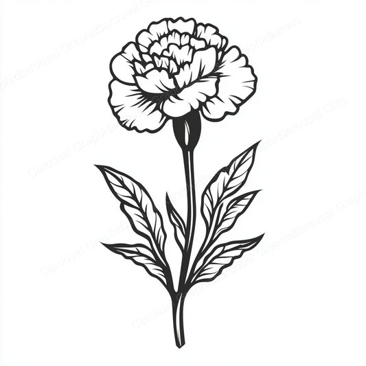 Carnation Vector Graphic preview