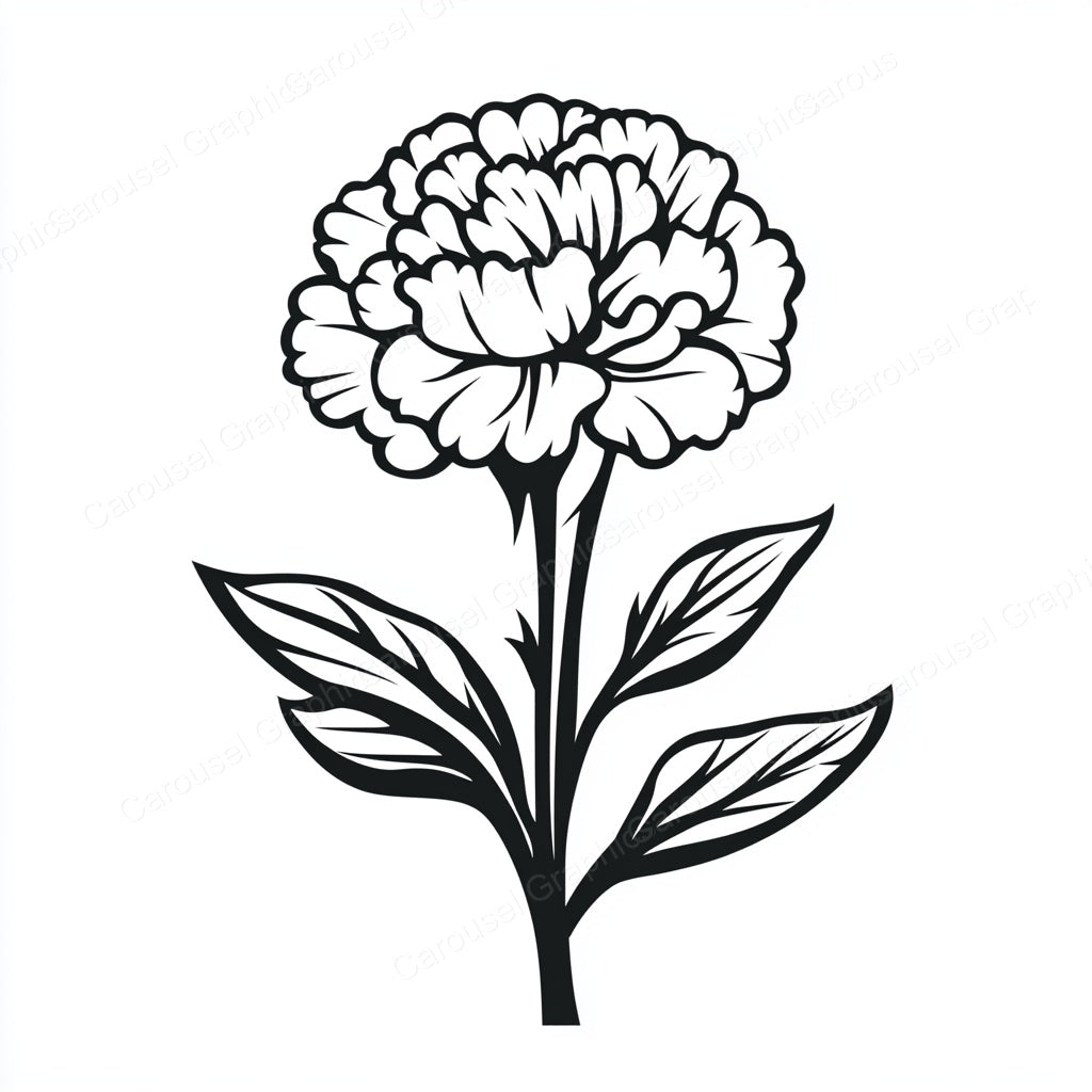 Carnation Vector Graphic preview