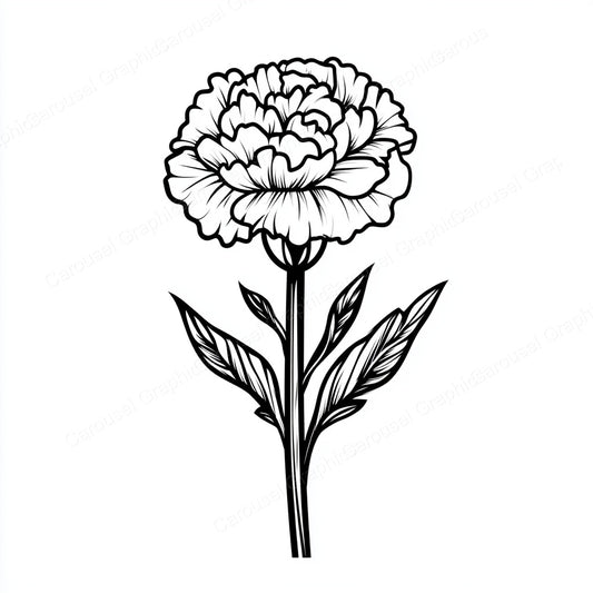 Carnation Vector Graphic preview