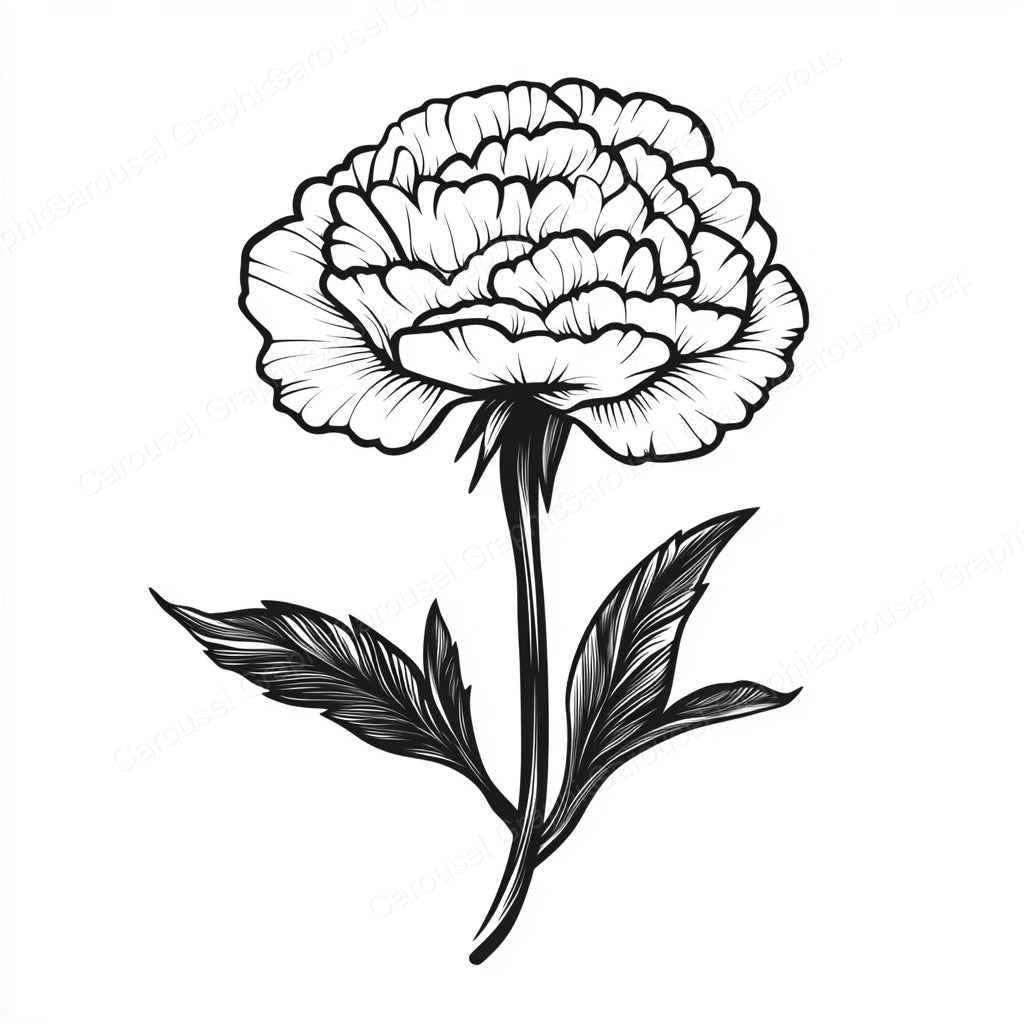 Carnation Vector Graphic preview