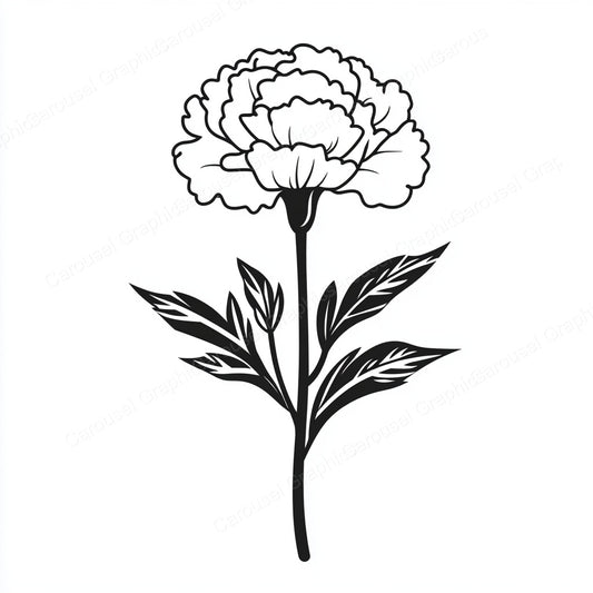 Carnation Vector Graphic preview
