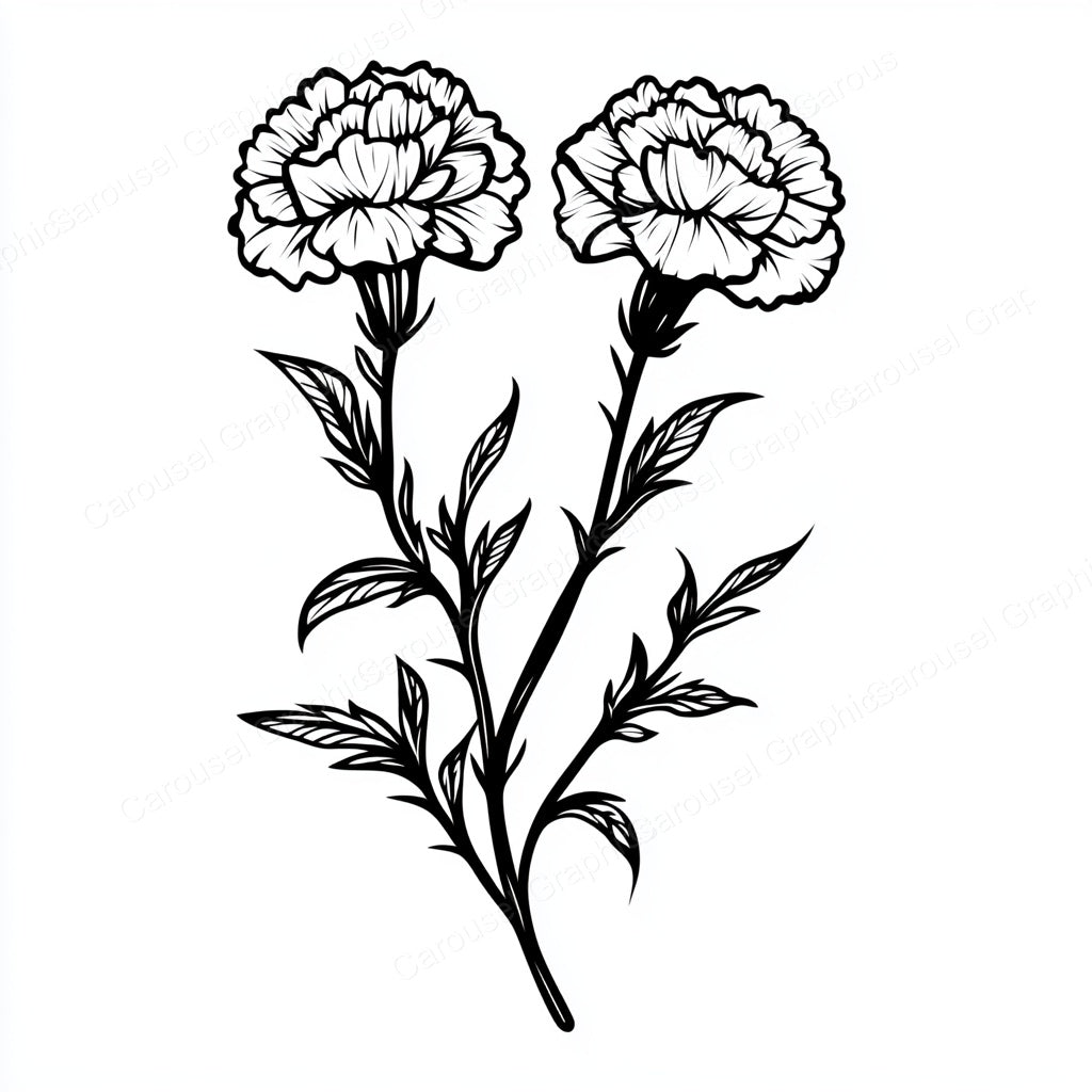 Carnation Vector Graphic preview