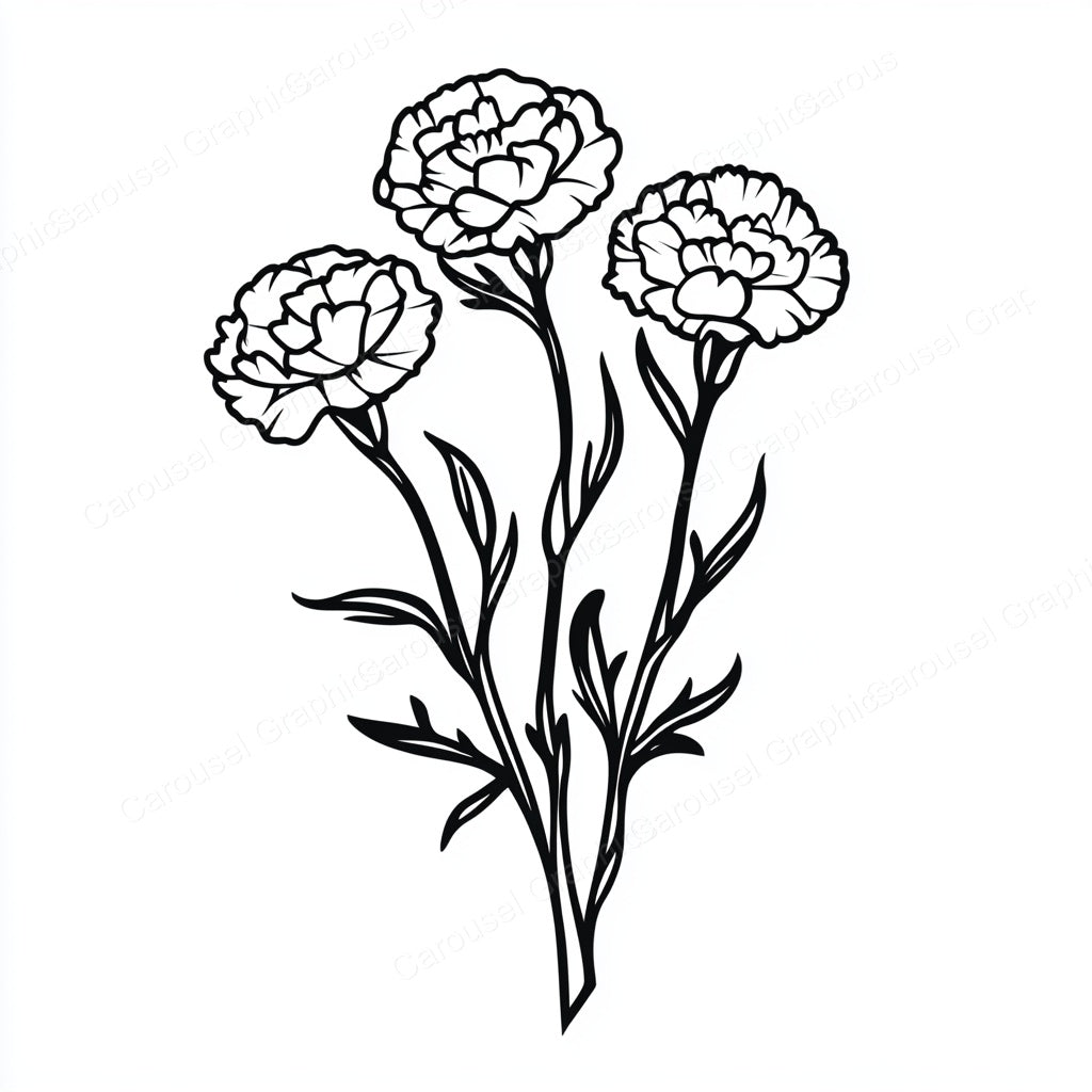 Carnation Vector Graphic preview