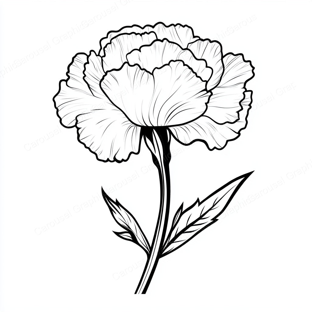 Carnation Vector Graphic preview