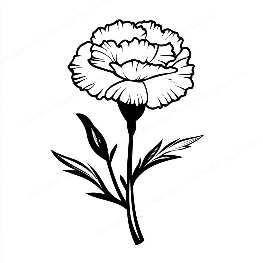 Carnation Vector Graphic preview