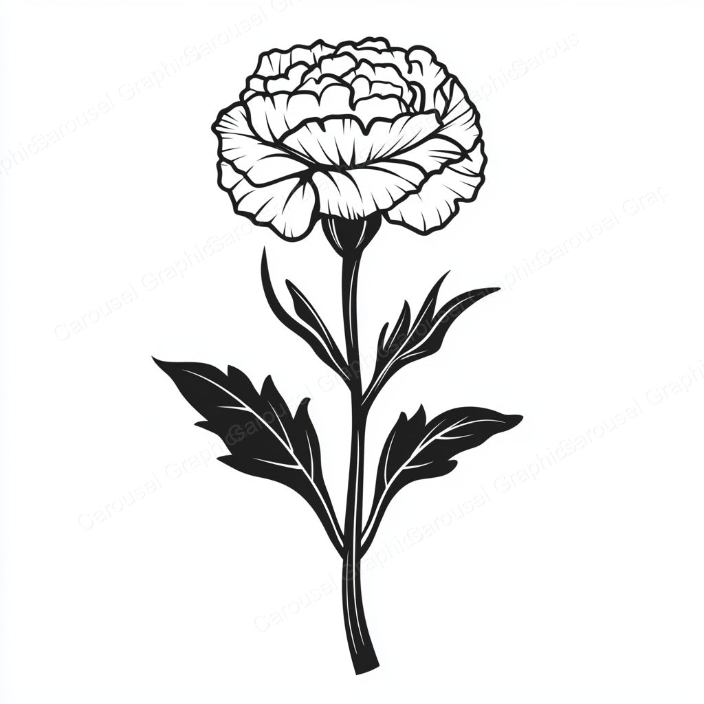 Carnation Vector Graphic preview