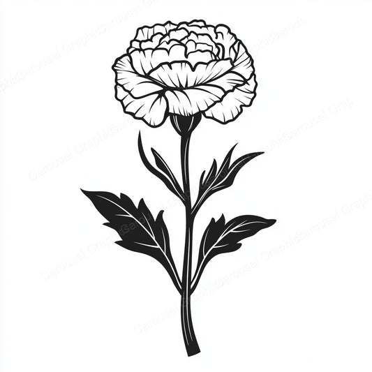 Carnation Vector Graphic preview
