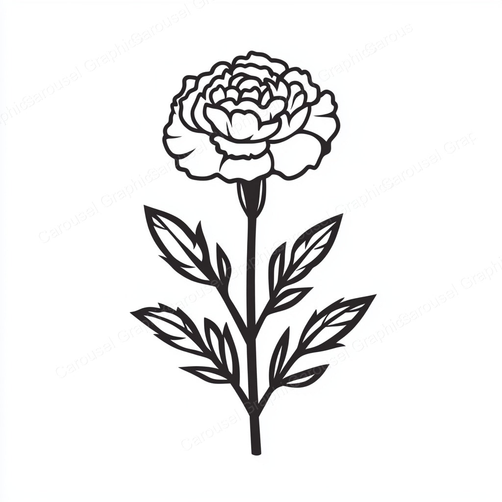 Carnation Vector Graphic preview