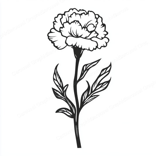 Carnation Vector Graphic preview