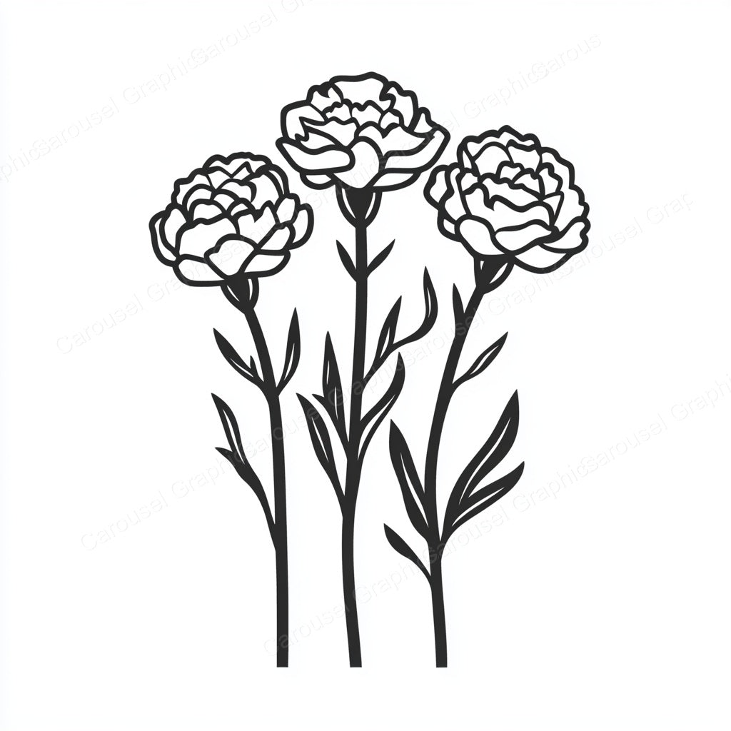 Carnation Vector Graphic preview