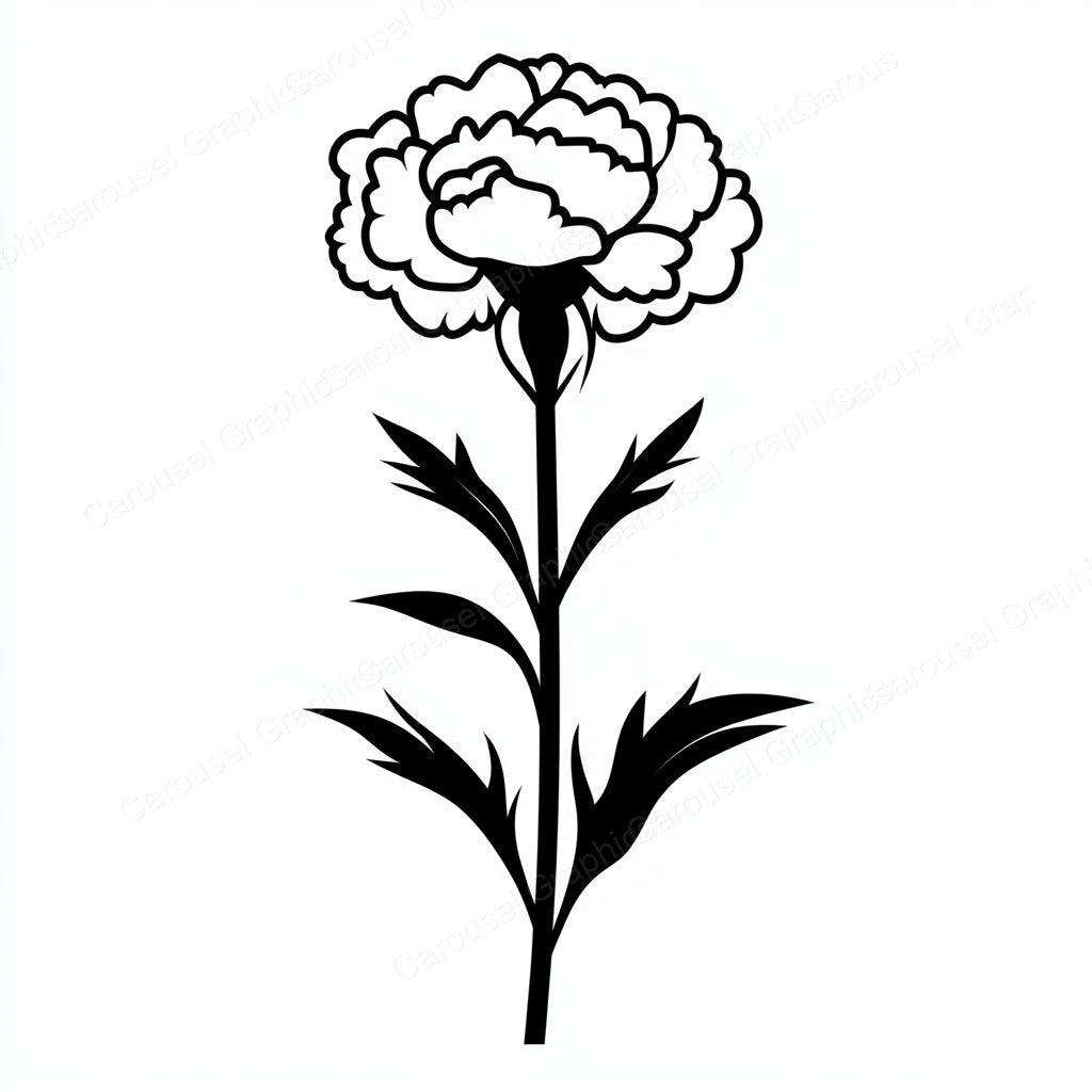 Carnation Vector Graphic preview