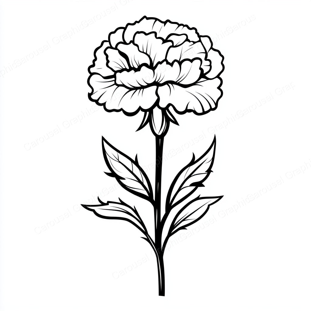 Carnation Vector Graphic preview